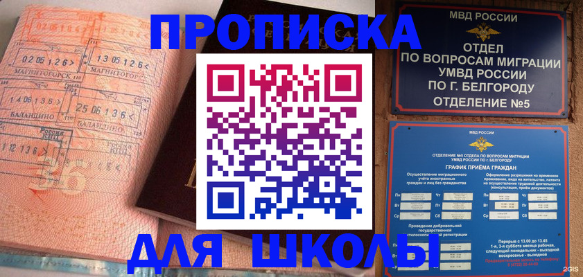 прописка иностранных граждан в Зеленогорске